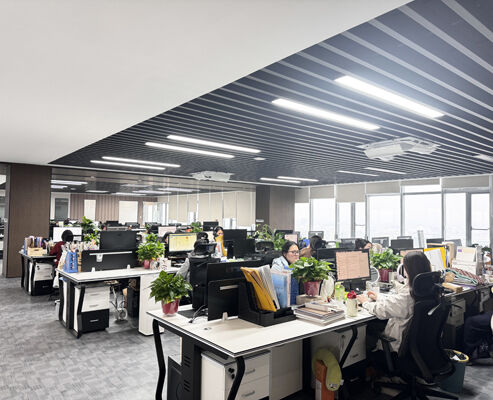 КИТАЙ SONSILL HOLDING Профиль компании