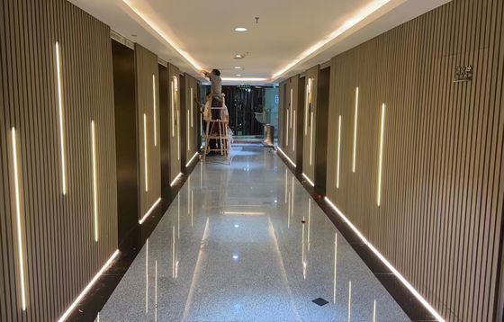 Панель стены панели стены 219x26mm штранг-прессования внешняя WPC Co на открытом воздухе